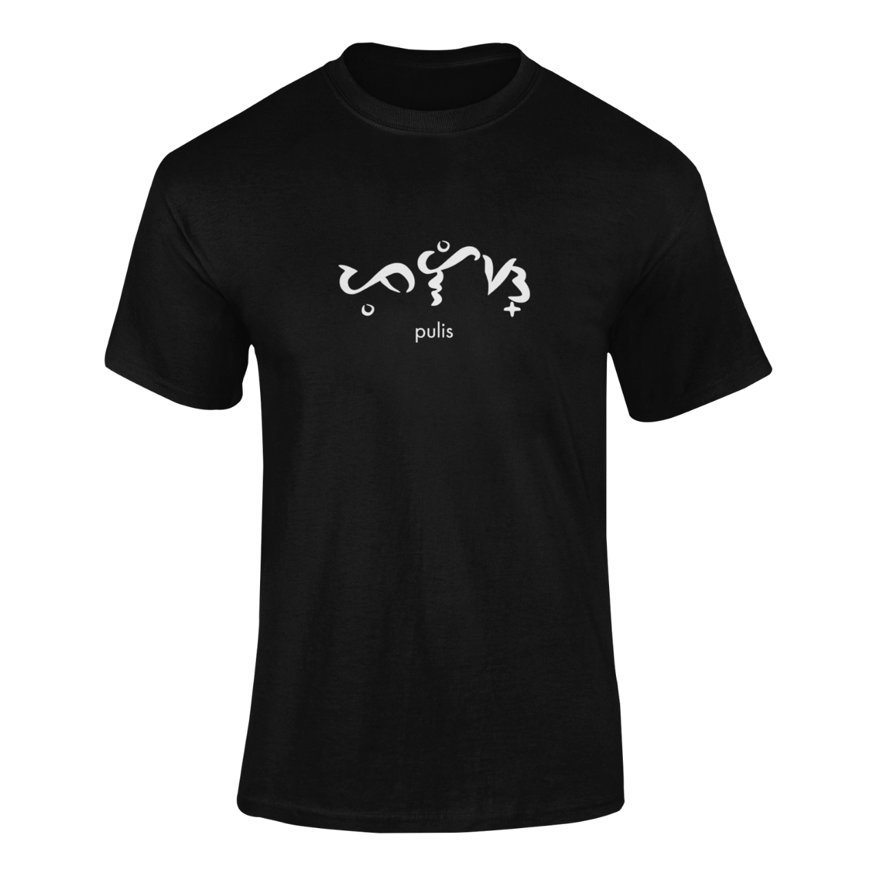 BT Baybayin Profession Pulis