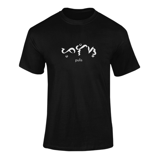 BT Baybayin Profession Pulis